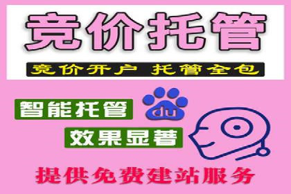 某知名企业SEM广告投放全流程解析